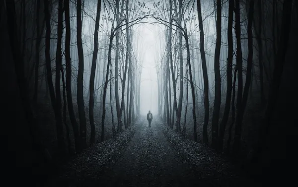 Человек, идущий на пути в темном лесу с туманом — стоковое фото