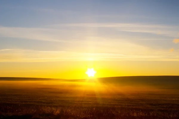 Восход солнца над полем лето — стоковое фото