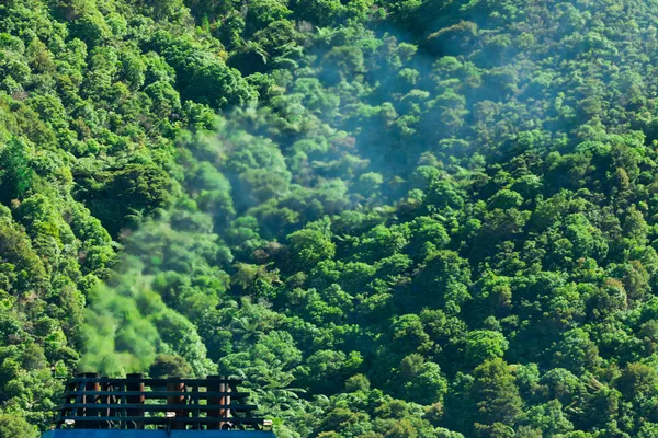 Концепция загрязнения климата газов, дыма и леса — стоковое фото