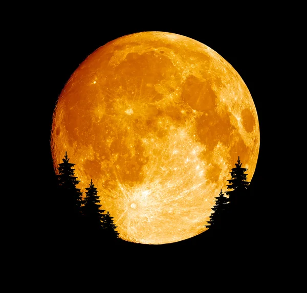 Освещенные полная луна — стоковое фото
