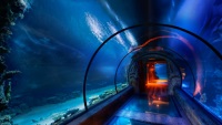 Туннель на морском дне в невероятном исполнении